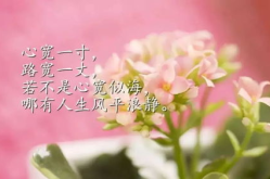 心态放好格局放大的句子,感悟人生智慧