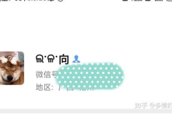 又皮又沙雕的情侣网名,情侣网名大盘点，笑出腹肌的甜蜜瞬间